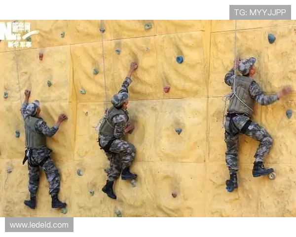 杭州攀岩队反击战术深度解析与实战应用探讨